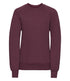 Padstow School Sweatshirt-Adult *PLAIN*