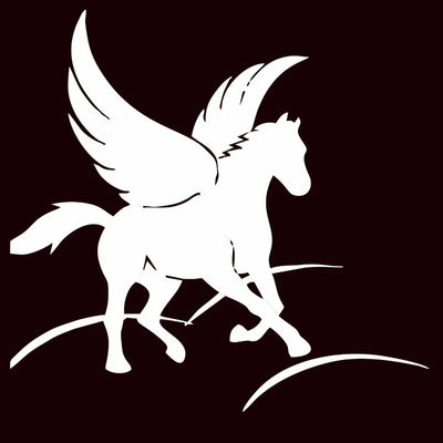 Pegasus Academy Trust School