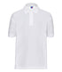 Polperro Primary Academy Polo Shirt - Plain - ADULT