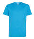 Padstow School PE T-Shirt  - ADULT