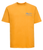 Fordingbridge Junior School House T Shirt - ADULT