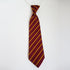 Wadebridge Primary Academy Elasticated Tie